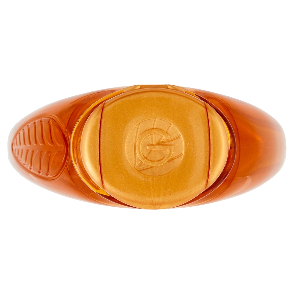 Garnier Ultra Dolce Shampoo Meraviglioso all'olio d'argan e di camelia per capelli secchi, 300 ml